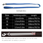 Truelove Reflective Mesh Dog Leash