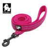 Truelove Reflective Mesh Dog Leash