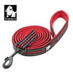 Truelove Reflective Mesh Dog Leash